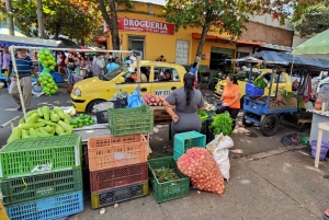 Bucaramanga: culturele en winkelervaring in San Francisco