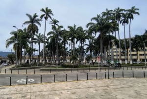 Bucaramanga: Panoramisk og kulturell transport til San Gil eller Barichara