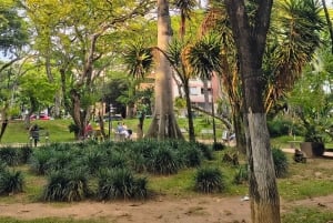 Bucaramanga: Panoramisk og kulturell transport til San Gil eller Barichara