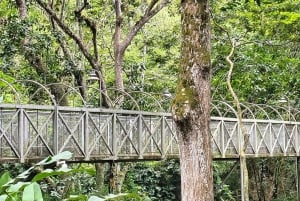 Bucaramanga: Panoramisk og kulturell transport til San Gil eller Barichara