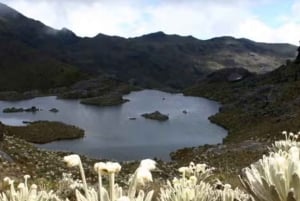 Bucaramanga: Paramo Santurbán Route and Water Route, starting from Bucaramanga
