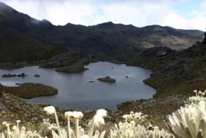 Bucaramanga: Rota do Páramo de Santurbán e Rota da Água, saindo de Bucaramanga