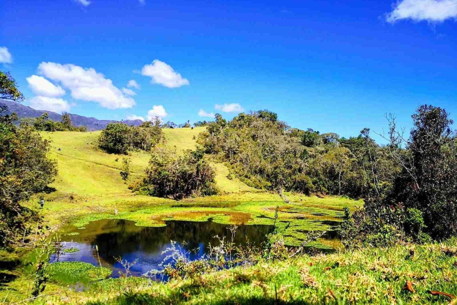 Bucaramanga: Private Tour zum Páramo Santurbán mit Abfahrt von Bucaramanga