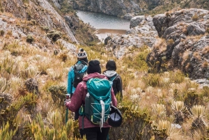 Bucaramanga: Private Tour zum Páramo Santurbán mit Abfahrt von Bucaramanga