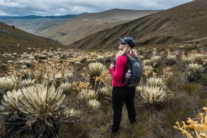 Bucaramanga: Private Tour zum Páramo Santurbán mit Abfahrt von Bucaramanga
