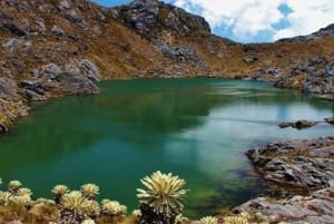 Bucaramanga: Wycieczka do Paramo Santurban!