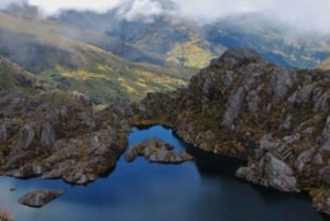 Bucaramanga: Wycieczka do Paramo Santurban!