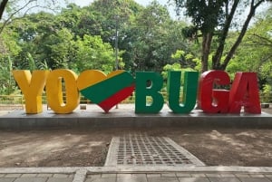 Buga: Städtetour und Besuch der Basilika Señor de los Milagros
