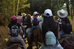 Copacabana Horseback Ride ALL INCLUSIVE - Medellín