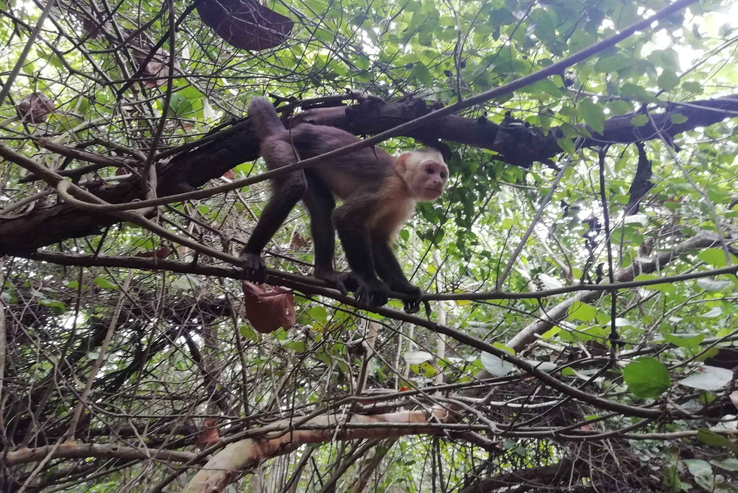 Cabo San Juan Day Tour
