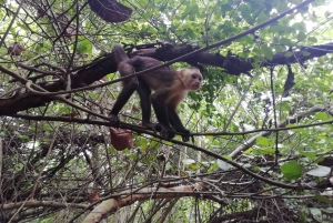 Cabo San Juan Day Tour