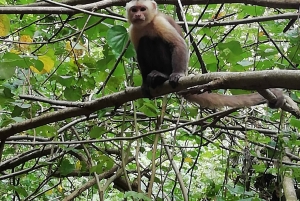 Cabo San Juan Day Tour