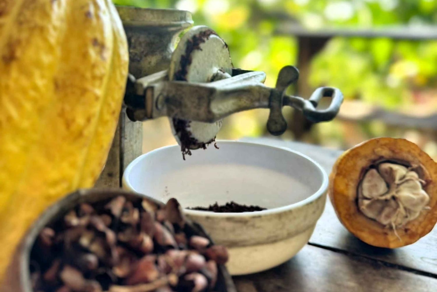 Tour dell'esperienza del cacao