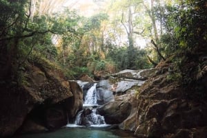 Tour dell'esperienza del cacao