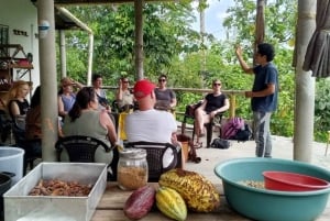Tour dell'esperienza del cacao
