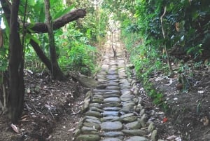 Cacao Experience Tour