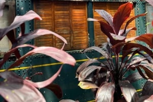 Cafés, rues et histoires : photographier l'âme urbaine de Medellín