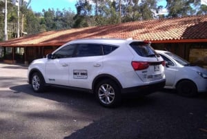 Cali : Aéroport Alfonso Bonilla Aragón Transfert aller simple