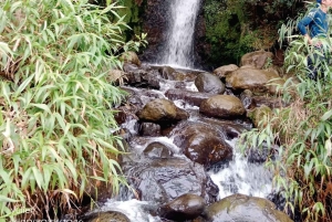 Cali: Cali River Waterfall und Great River Pools Tour