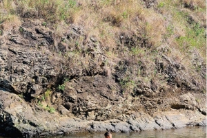 Cali: Cali River Waterfall und Great River Pools Tour