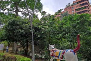 Cali: Cristo Rey, Muzeum Tertulia i wycieczka po mieście Cali