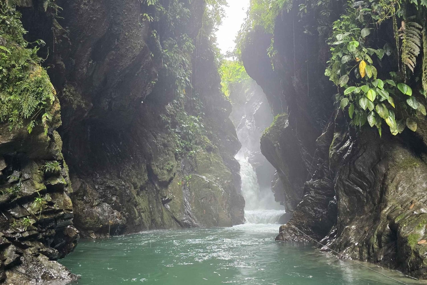 Cali: Excursão de um dia ao Danubio e ao oásis La Sirena. A partir de Cali