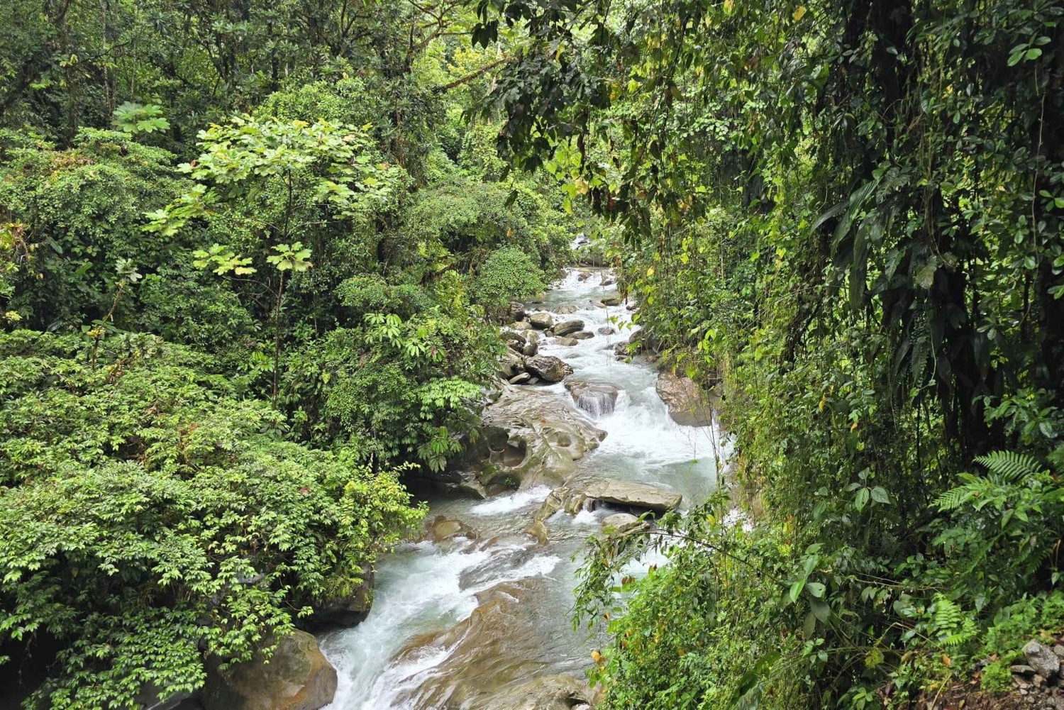 Cali: Excursão de um dia ao Danubio e ao oásis La Sirena. A partir de Cali