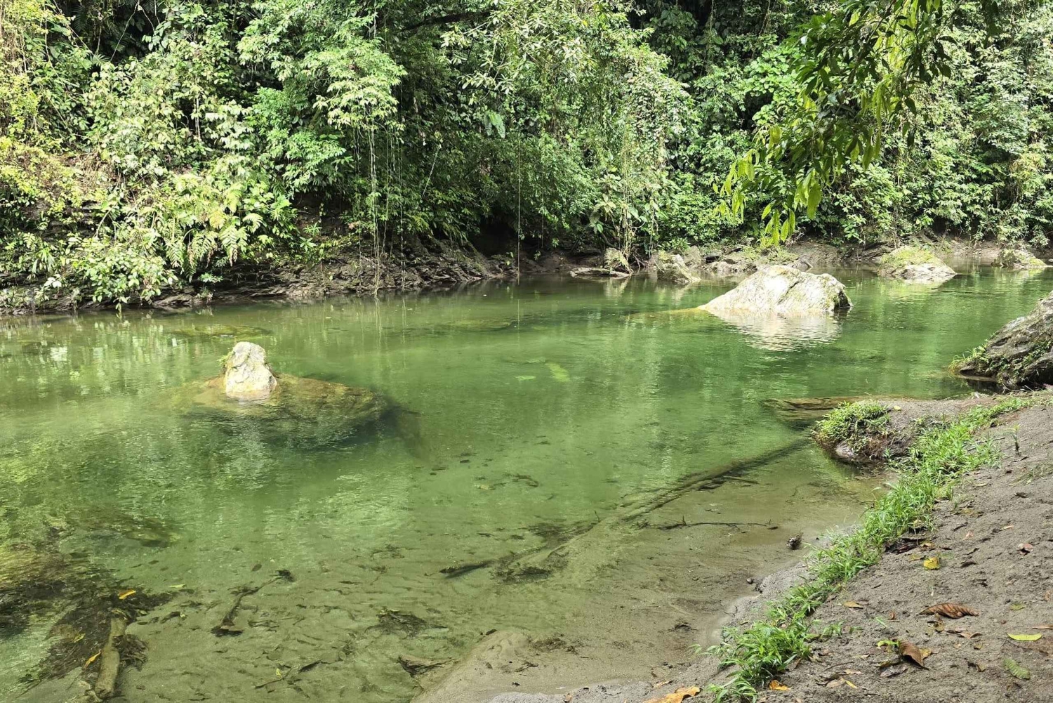 Cali: Excursão de um dia ao Danubio e ao oásis La Sirena. A partir de Cali