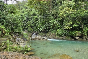 Cali: Excursão de um dia ao Danubio e ao oásis La Sirena. A partir de Cali