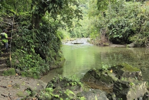Cali: Excursão de um dia ao Danubio e ao oásis La Sirena. A partir de Cali