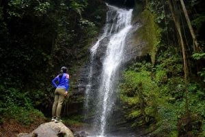 Cali: Farallones Natural Reserve Guided Hiking Tour