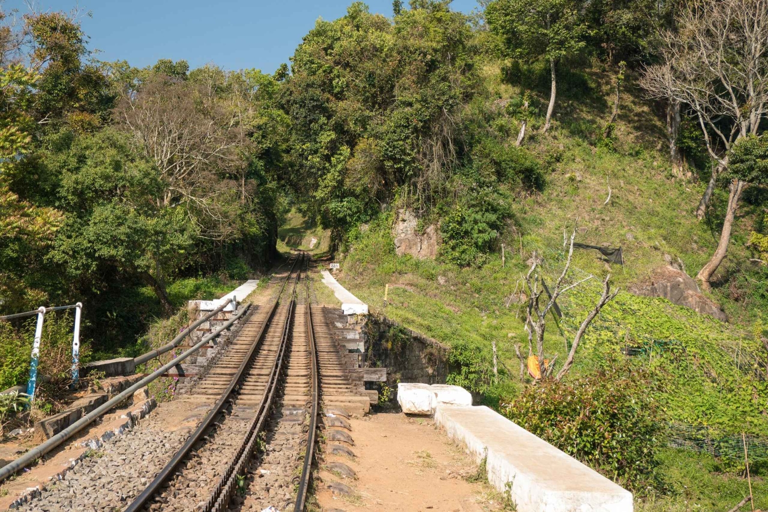 Cali: Guided Day-Trip to San Cipriano with Traditional Lunch