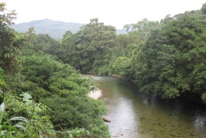 Cali: Guided Day-Trip to San Cipriano with Traditional Lunch
