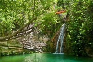 Cali: Guided Day-Trip to San Cipriano with Traditional Lunch