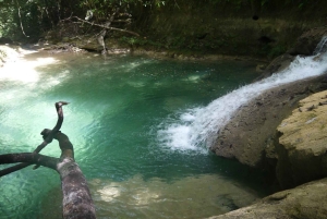 Cali: Guided Day-Trip to San Cipriano with Traditional Lunch