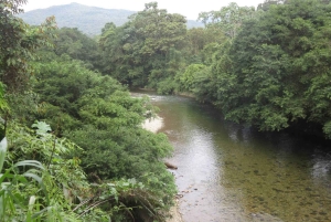 Cali: Guided Day-Trip to San Cipriano with Traditional Lunch