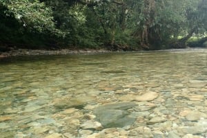 Cali: Guided Day-Trip to San Cipriano with Traditional Lunch