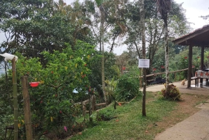 Cali: tour fotografico e di osservazione dei colibrì