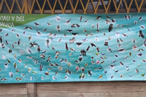 Cali: tour fotografico e di osservazione dei colibrì