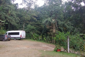 Cali: Obserwacja kolibrów i wycieczka fotograficzna