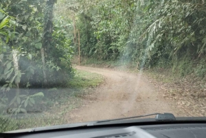 Cali: Obserwacja kolibrów i wycieczka fotograficzna