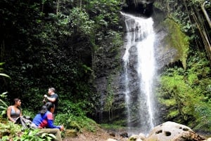 Cali: Jungle Trail and Natural Sightseeing Day Trip