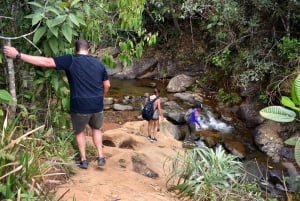 Cali: Jungle Trail and Natural Sightseeing Day Trip