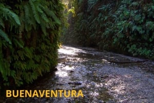Cali: Sentiero di montagna con guida e raccolta ecologica