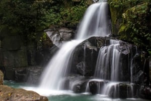 Cali: Sentiero di montagna con guida e raccolta ecologica