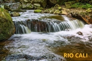 Cali: Sentiero di montagna con guida e raccolta ecologica