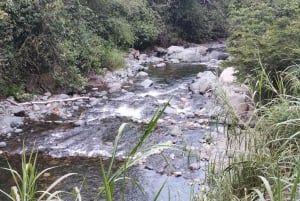 Cali: Pance River Waterfall Trip