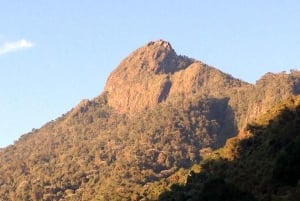 Cali : Aventure Trekking Pico de Loro - Farallones de Cali
