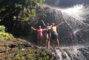 Экскурсия на водопад Кали Ривер (Панче)