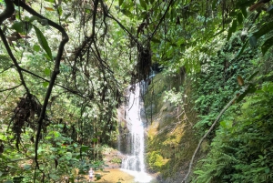 Экскурсия на водопад Кали Ривер (Панче)